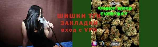 хмурый Аркадак