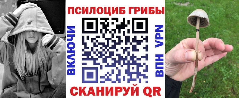 наркота Северо-Курильск Псилоцибиновые грибы мицелий